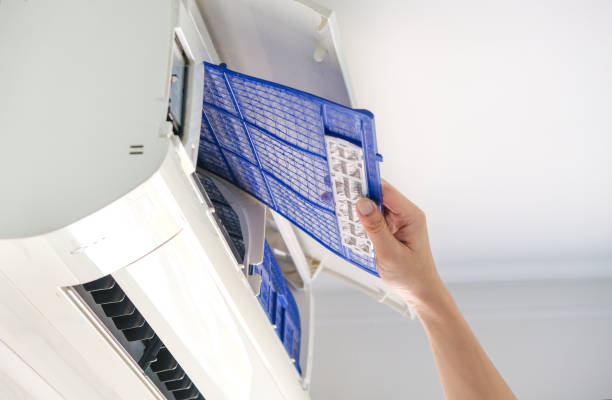 Best Ductwork Cleaning Services  in Redington Shores, FL