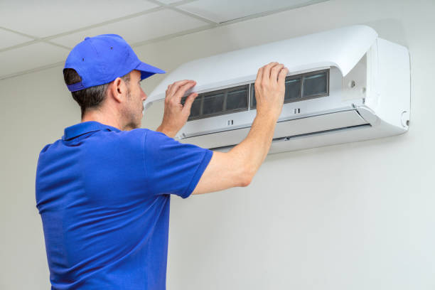 Air Duct Mold Removal in Redington Shores, FL